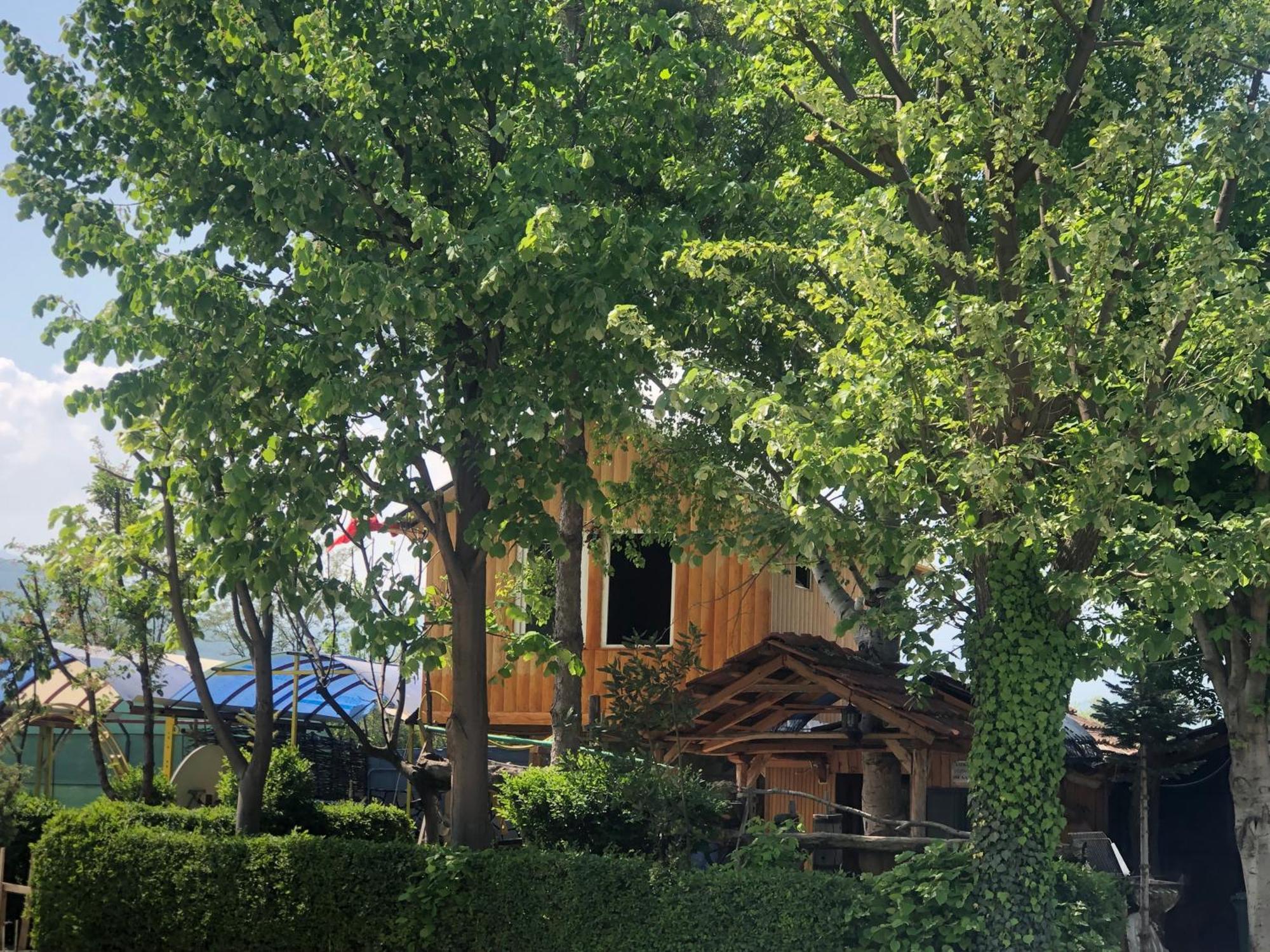 Bujtina Gashi Guest House Kukes Εξωτερικό φωτογραφία