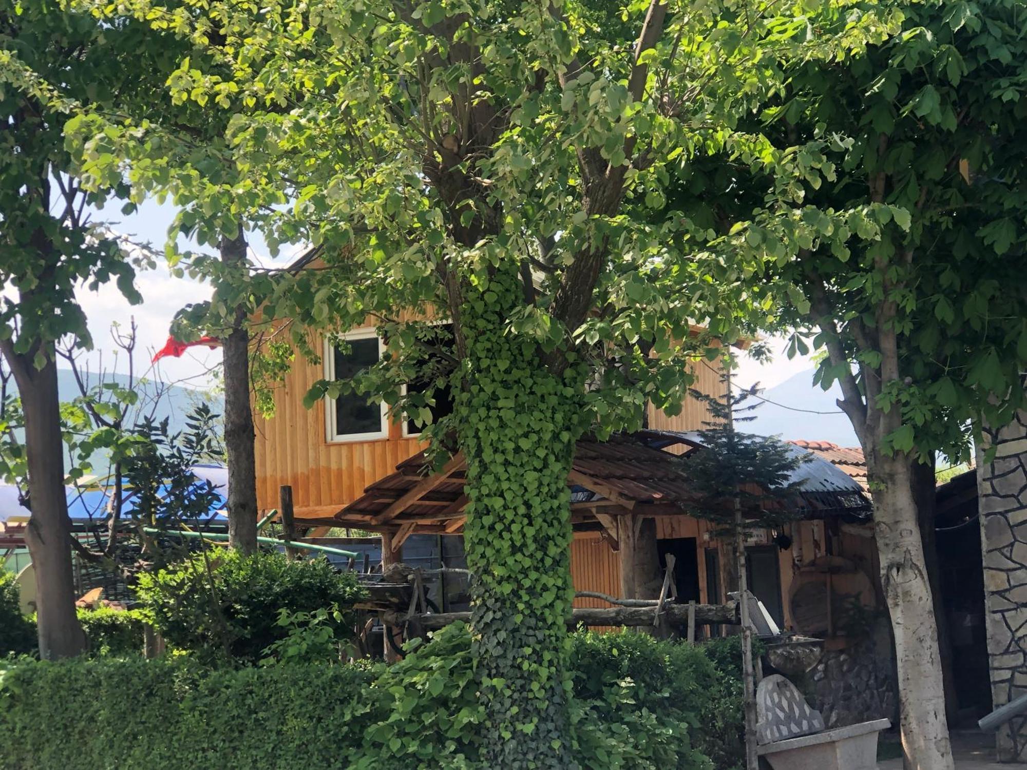 Bujtina Gashi Guest House Kukes Εξωτερικό φωτογραφία