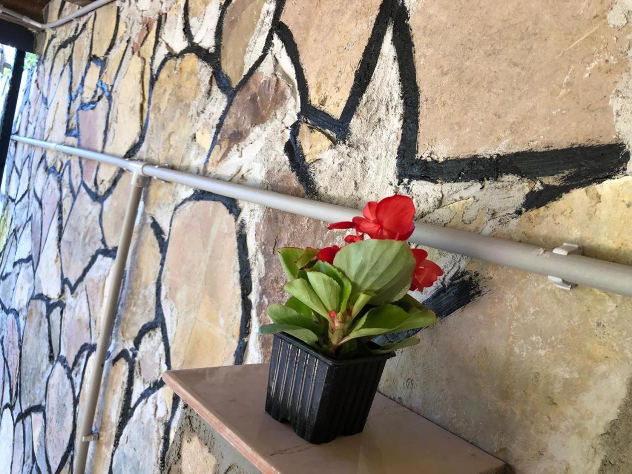 Bujtina Gashi Guest House Kukes Εξωτερικό φωτογραφία
