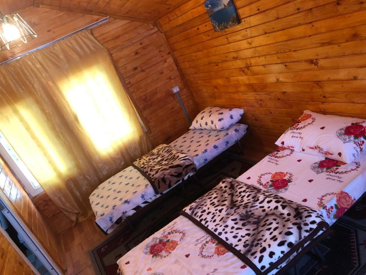 Bujtina Gashi Guest House Kukes Εξωτερικό φωτογραφία